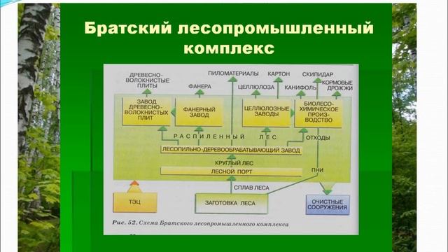 Лесная промышленность