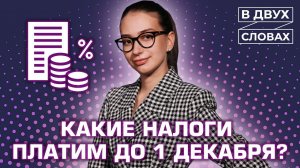 Какие налоги нужно заплатить до 1 декабря? | «В двух словах»