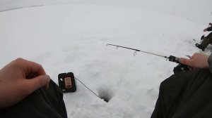 БЕШЕНЫЙ КЛЁВ СУДАКА на давно забытую БЛЕСНУ!