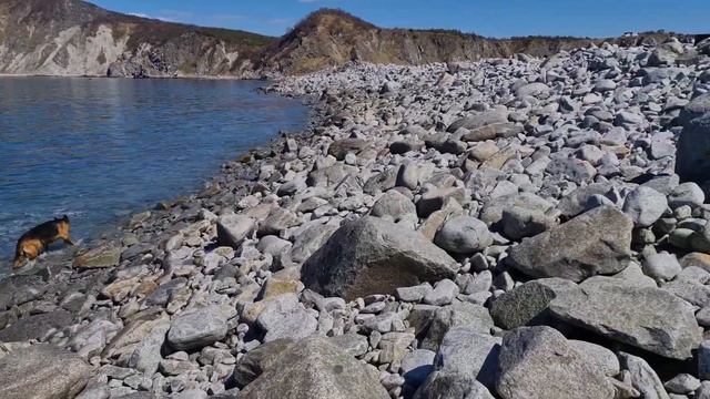 ПОХОД | МЫС ОСТРОВНОЙ смотреть онлайн