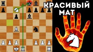 Красивый мат в Скандинавской защите. Шахматы