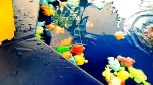 Рыбалка для детей, Тема ловит рыбу. WOW!