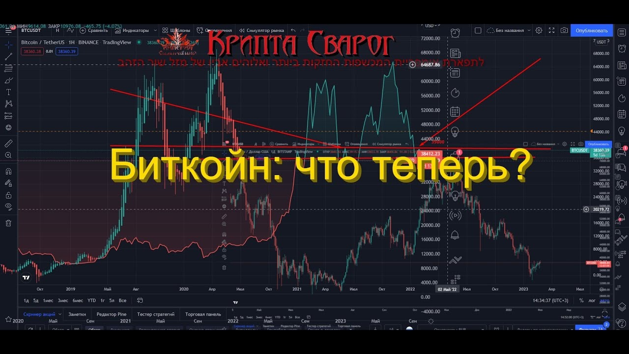 Криптотрейдинг с нуля. Трейдинг с нуля. изучение трейдинга с нуля. трейдинг криптовалют. трейдинг криптовалют для начинающих.