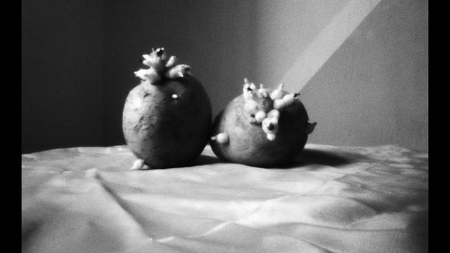 150 PROJECTED IMAGES | MIRA PINHOLE PHOTOGRAPHY 2023 смотреть онлайн