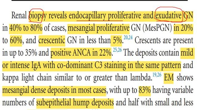 IgA-dominant infection-related GN смотреть онлайн