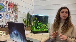 Как подключить ДОМЕН К ТИЛЬДЕ за 5 минут ? и настроить ssl сертификат тильда