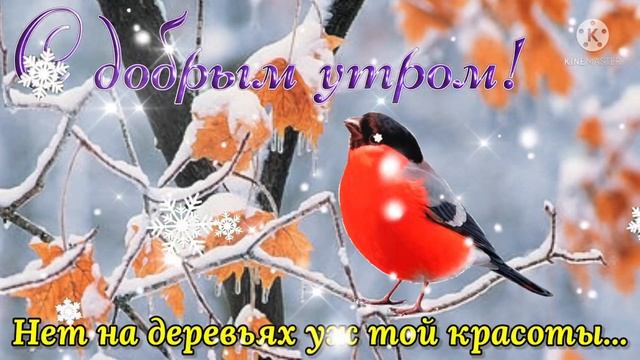 С Зимою Осень Повстречалась! Пока Осень! Скоро Зима! Последний День Осени 30 ноября!