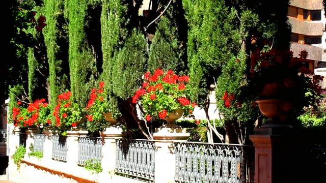 А я то думал Вы счастливая. Пётр Градов (слушать стихи) смотреть онлайн