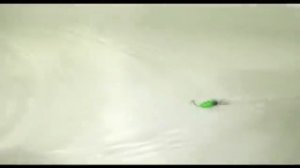 Серебряный ручей  Silver Creek 0