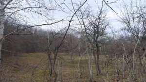 Озеро в селе Богатырь. Бахчисарайского района.