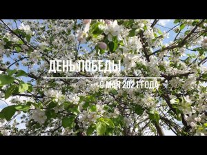 Жарим мясные рулетики из говядины к 9 мая.