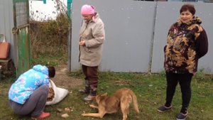 Деревенская жизнь в станице Краснодарского края