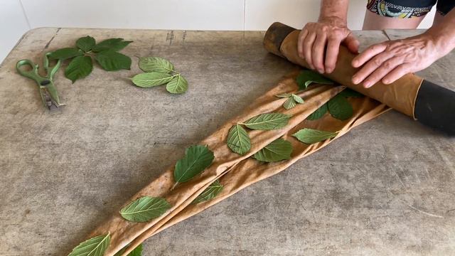 Homemade rust water (iron mordant) for eco printing смотреть онлайн