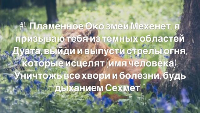 Молитвы • Заклинания • Прозьбы ☥ ///  Обращения к СЕХМЕТ
