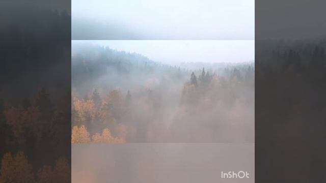 ЗАЛИПАТЕЛЬНО | ПРИРОДА С ДРОНА