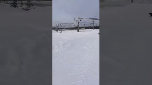 Sharmax 1450 500 18 c модулем толкач. Проходимость по глубокому снегу. Отзыв клиента Глобалдрайв. смотреть онлайн