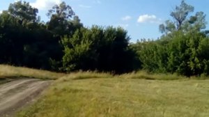 Туган ягым гөлләр иле