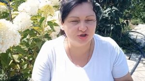 Почему не цветёт гортензия_.mp4