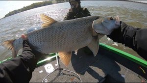 Астрахань осенью 2019 часть 2. Трофейный жерех, джиговый карась и астраханский ветер