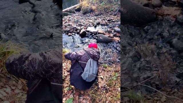 Сходили на Блины смотреть онлайн