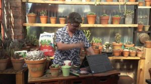 Succulent Plant Care Masterclass with Tanya Visser