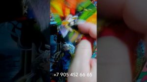 ЧТО ПРИНЕСЁТ ВАМ СРЕДА??? #shorts gadanie taro