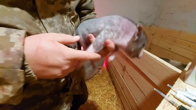 процедуры по графику с опозданием! смотреть онлайн