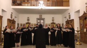 Во Царствии Твоем. Антифон 3.
Негрешная П.