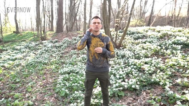 Энергетическая практика на начало дня (18 минут)