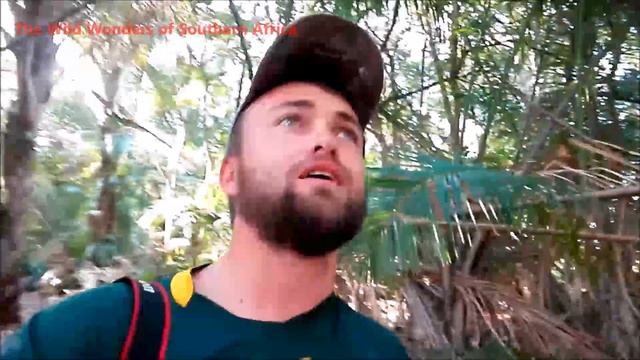 The Raphia Palm Tree - Largest leaf in the world смотреть онлайн