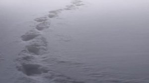 ИЗБА | страшилки на ночь || страшилка гача || gacha club || NOSFERATU |