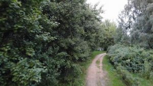 Над Косино. Чёрное озеро. Июль 2018