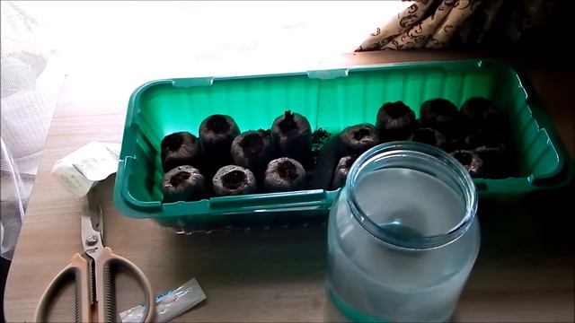 первая подкормка эустомы смотреть онлайн