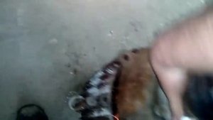 Как просушить эл двигатель
