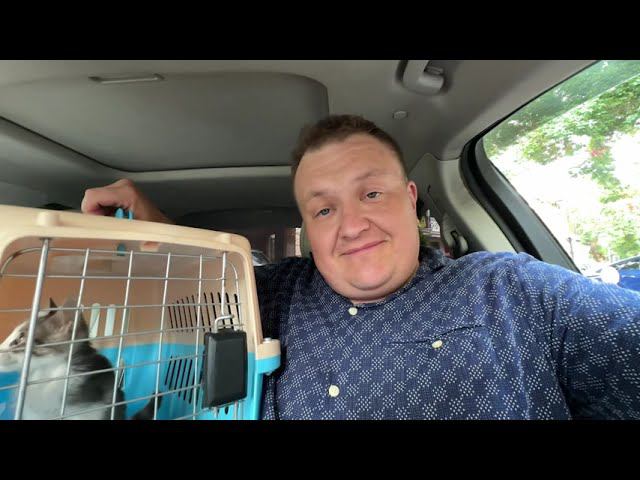 Спасение котенка потерявшего маму