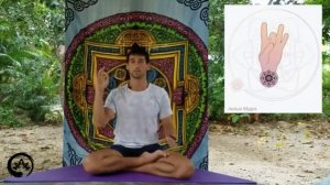 *АКАША*  МУДРА ДЛЯ РАБОТЫ ЩИТОВИДКИ