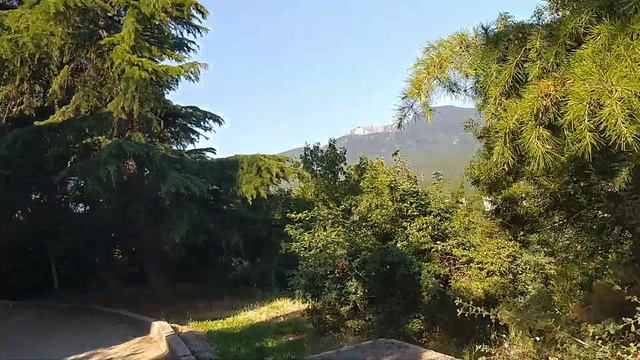 VLOG:кошка наша птичка)) \ опять гуляю по Алуште смотреть онлайн