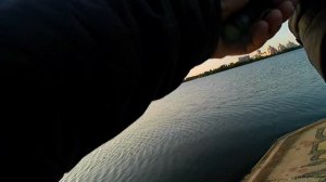 Силиконовые приманки с Aliexpress. Работают они или нет?