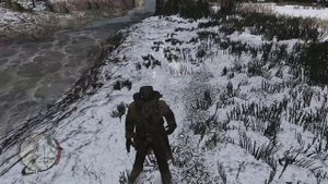 Исчезновение бобра