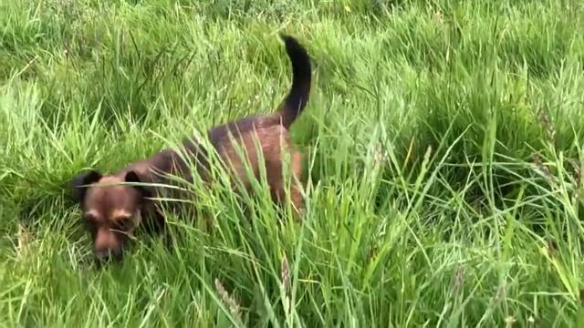 инстаграмм: mimimiko1 ЦВАРТБЛЕС Россия Продажа смотреть онлайн