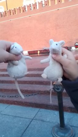 Дорогие друзья! Поздравляем с Днём Великой Победы!