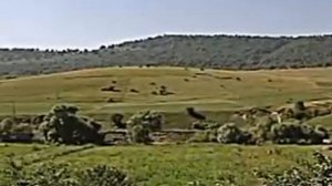 Aşıq Zabit Qazahlı-Orta Sarıtel