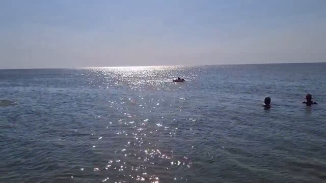 Ейск?Должанская, пляж. НАС ИЗЖАЛИЛИ МЕДУЗЫ!!! 9 августа 2022 г. Купили кучу арбузов и дынь за 1000 смотреть онлайн