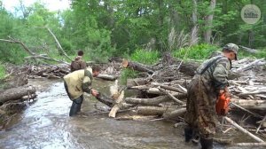 Сплав по реке Иман (Большая Уссурка) день второй.