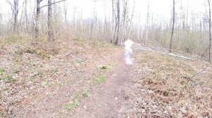 СВЕТОШУМОВОЙ патрон Гром для Сигнала охотника. Медведи в шоке разбегаются!