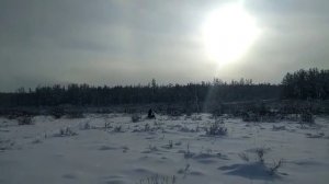 Бурлак hunter м pro по пухляку