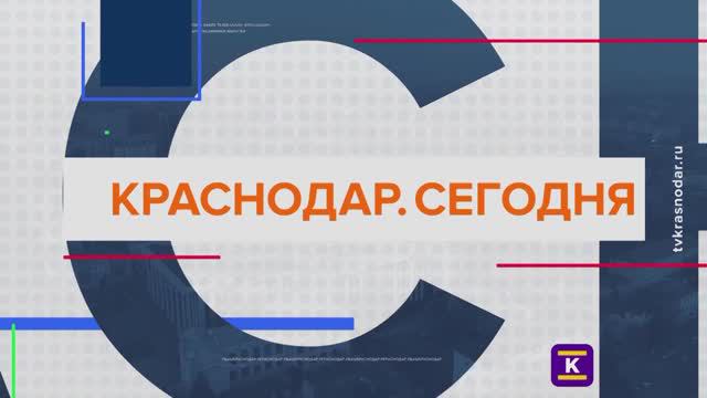 В Краснодарском аэропорту появилась кинологическая служба