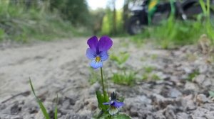 Вчера один, а сегодня...