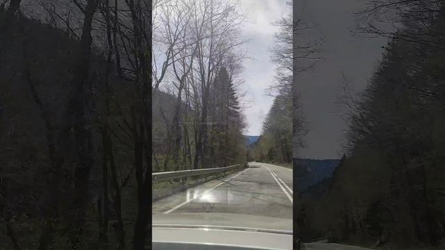 ПОЕХАЛИ С НАМИ ???