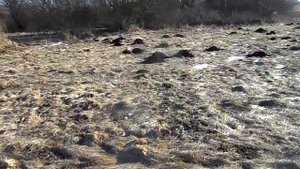 Советские торфоразработки!!! Что в себе хранят до наших дней!?